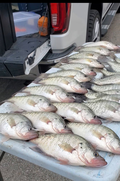 Crappie Guided Trips